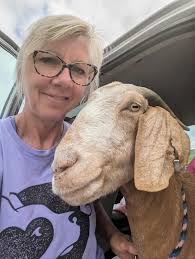 Meatball came to Speranza 12 years ago. Before Speranza even existed. He  was so ill that he couldn't stand. The vet said don't expect him to make it  through the night. Due