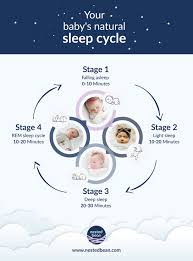 Rem Sleep Cycle Of Your Baby Nested Bean Rem Sleep