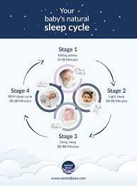 rem sleep cycle of your baby nested bean rem sleep