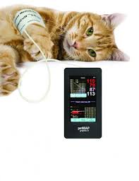 We all know that understanding blood pressure & maintaining healthy readings are important for our overall health and longevity. Petmap Graphic Ii Blood Pressure Measurement Devices Veterinary Equipment Mano Medical