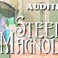 AUDITIONS: Steel Magnolias event image