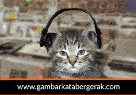 Lebih dari 150 ribu gambar telah diatur dengan rapi ke dalam berbagai kategori. Gambar Animasi Bergerak Lucu Tentang Kucing Gambar Bergerak Animais De Estimacao Estimacao Animais