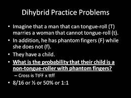 The results for chapter 10 dihybrid cross worksheet answer key. Today Is Friday December 13 Th 2013 Pre Class Notebooks Challenge Diagram The Following Dihybrid Cross In Your Notebooks Hint You Ll Need Ppt Download