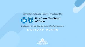 Their customer service consists of. Blue Cross Blue Shield Medicare Supplement Plans Boomer Benefits