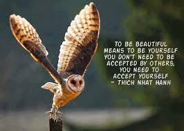 Birds Of The Same Feather Flock Together Meaning In Tagalog Quotes About Self Love Tagalog Owl Owl Pet Owl Wings