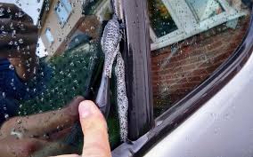 Check spelling or type a new query. C Est Ainsi Que Les Joints En Caoutchouc De La Voiture Sont Correctement Entretenus