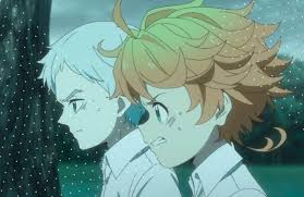 Program tersebut adalah kartu indonesia pintar kuliah atau kip kuliah. The Promised Neverland Fecha De Segunda Temporada Y Live Action