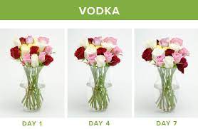A are being watered b were watered c will have been. How To Make Flowers Last Longer 9 Tricks Proflowers