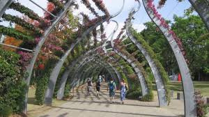 Australian Botanical Gardens Google Search Les Plus Beaux Jardins Beaux Jardins Jardins