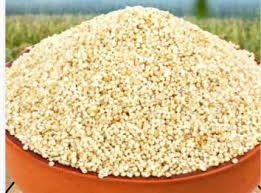 Image result for Echinochloa brevipedicellata