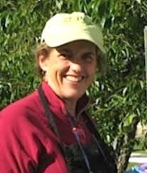 Services 3 — The Cygnet Gallery