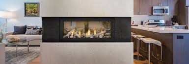 Each side includes a large glass viewing space and an operational door. Napoleon Acies See Thru Series Electric Fireplace Toronto Best Price