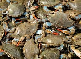 Terdapat 90 jenis kopi yang ada di dunia, namun hanya ada 4 jenis kopi yang komersil. Cara Pilih Ketam Segar Banyak Isi Penuh Telur Boleh Cuba Petua Ni