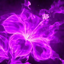 Check spelling or type a new query. Neon Flower Purple Hibiscus Fire Flower Purple Love