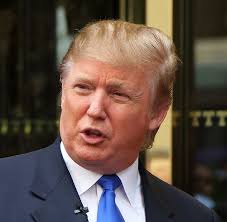 Election Forecast: 2020 Presidential General Election