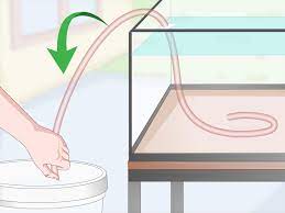 How to use a siphon to clean a fish tank 3 Ways To Start A Siphon Fish Tank Wikihow