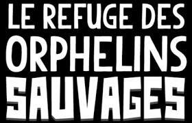 Leur vie en direct ainsi que de nombreuses vidéos exclusives et interviews ! Le Refuge Des Orphelins Sauvages Replay Et Videos En Streaming France Tv