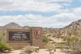 Joshua Tree Is Not Closing After All. The Park Service Says ...