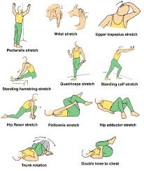 Best Stretching Exercises For Flexibility Top Eleven Anti Aging Exercises The Canadian Nati Physical Therapy Exercises Arthritis Exercises Physical Therapy