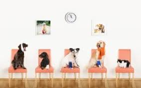 We did not find results for: Cleveland Oh Veterinarian West Park Animal Hospital