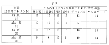 Image result for Ophrestia radicosa