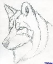 I'm interested in starting commission, feel free to message me if you want a custom aircraft or something, i won't bite! Drawing Realistic Wolf Art 39 Super Ideas Wolf Drawing Easy Dog Drawing Simple Pencil Drawings Easy