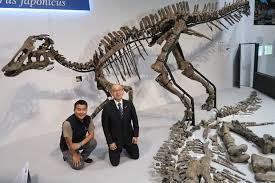 Maybe you would like to learn more about one of these? Japan S Largest Fossilized Dinosaur Confirmed To Be New Species Named Kamuysaurus The Mainichi