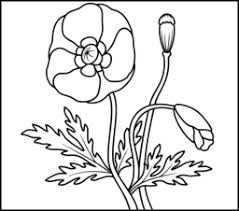 Download and print these online for adults coloring pages for free. Flowers Coloring Online