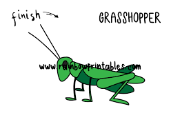 Seamless childish pattern with hand drawn cute alligators. How To Draw A Grasshopper Insect Easy Drawing Guide For Kids Rainbow Printables