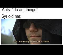 7 417 Likes 71 Comments Memes Lair Not Meme Slair Smh Memeslair On Instagram F In The Chat To All The An Funny Relatable Memes Funny Memes Stupid Memes