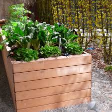 Die meisten beete im garten sind ebenerdig. Moderne Hochbeete So Wird Das Gemusebeet Zum Highlight Im Garten