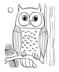 Little girl owl coloring page print. Owl Animal Coloring Pages For Girls