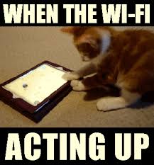 Https Encrypted Tbn0 Gstatic Com Images Q Tbn And9gcssj5doukozaunwexxsgyray5rmx8w4eox9dg Usqp Cau