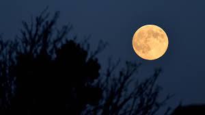 December full cold moon: Stunning photos capture last supermoon of 2025 -  BBC Weather