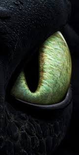 Toothless Eye How Train Your Dragon How To Train Your Dragon How To Train Dragon