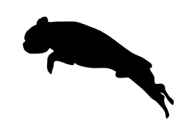 Download French Bulldog Jumping Graphic By Rayan Creative Fabrica Yellowimages Mockups