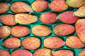 Different cactus plants make different types of fruit. Prickly Pear Cactus Fruits Called Also Opuntia Ficus Indica Stock Photo Picture And Royalty Free Image Image 64969087