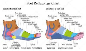 reflexology foot chart lateral view foot reflexology side