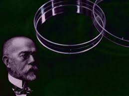 Julius Richard Petri Kimdir?