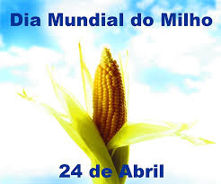 O dia internacional do milho é comemorado anualmente em 24 de abril, em todo o planeta. 24 De Abril Dia Mundial Do Milho