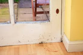 How To Remove Mold From Wood A J Property Restoration A J Property Restoration