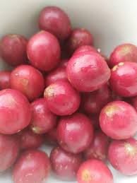 Image result for Englerophytum natalense