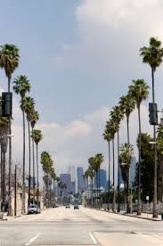 The city of angels is a city of sharp contrasts. Los Angeles Ef Sprachreisen 18 25 Jahre Ef