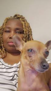 Loss of a Beloved Pet Yorkie