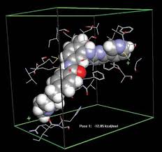 How many meals a day do you have? Anticancer Drug Pharmacology Britannica