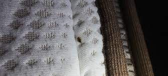 Contact us today to get pricing and same or next day services! Affordable Bed Bug Heat Treatments Denver View Our Heat Treatment Prices Thermanator