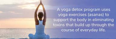 We did not find results for: What Is Yoga Detox Prama Institute Wellness Center