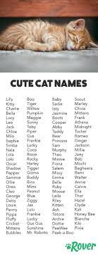 We have you covered with this list of over 385 cat name ideas. 171 Cute Cat Names For 2020 With Popularity Rankings Cute Cat Names Cute Animal Names Cat Names