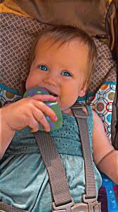 Toys for 1 year old?