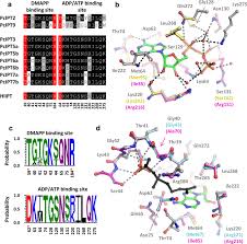 The most recent time we have spotted rmp.gov.my on alexa rankings was on september 19, 2015 (1,901 days ago) and. Occurrence And Biosynthesis Of Cytokinins In Poplar Springerlink